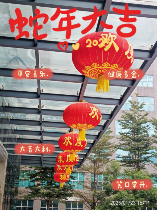 靈蛇舞動迎新春，喜氣洋洋滿乾坤